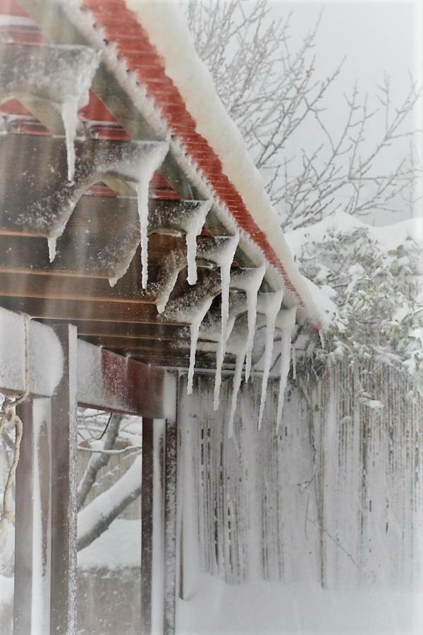 Si-Har Chalets Nimrod 外观 照片